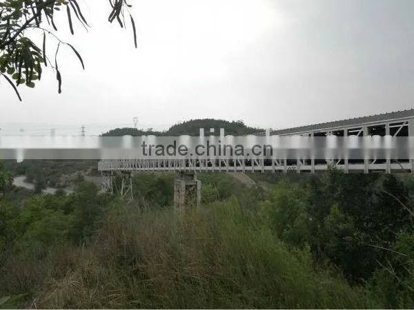 Reliable and Continuous Large Quantity Belt Conveyor for Power Plant Station photo-2