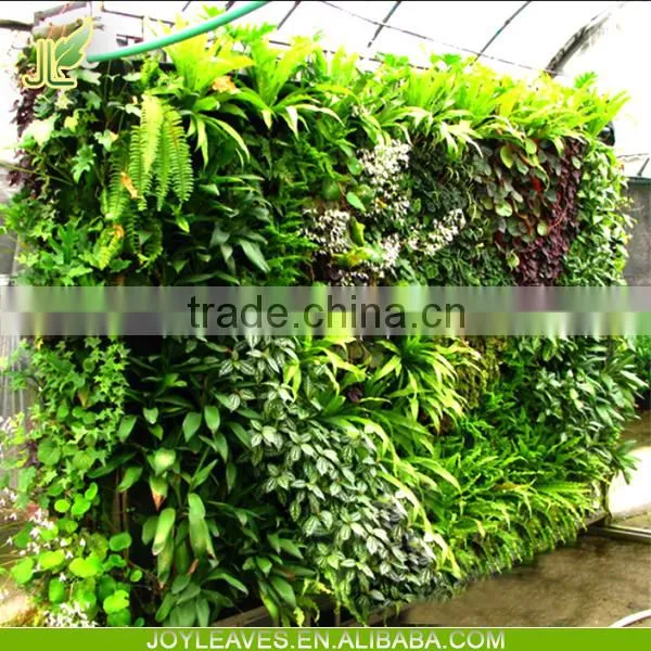 Eco-friendly Cheap Price Artificial Vertical Garden Green Wall for Promotion photo-2