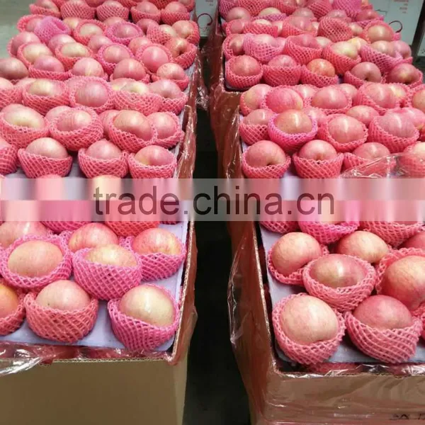 Hot Sell Red Qinguan Apples Shanxi Qinguan Apples Exporter photo-2