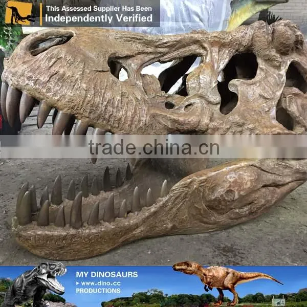 MY Dino-C085 Resin Dinosaur Head Skeleton photo-5