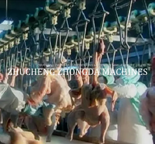 FULL CHICKEN SLAUGHTERING MACHINE Line photo-3
