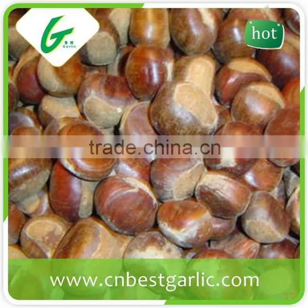 Horse Fresh Chestnut Oil photo-3