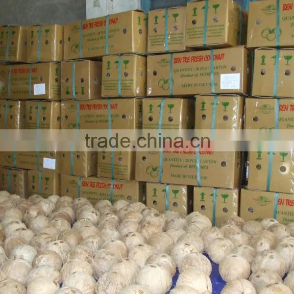 Mature Coconut photo-2