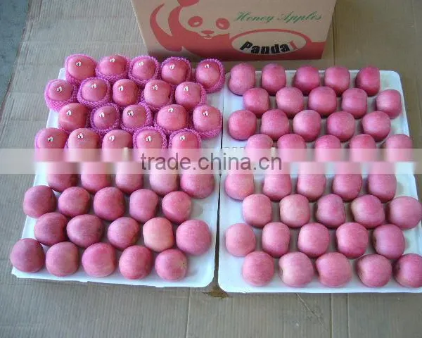 China Fresh Fruits Fully Blush photo-6