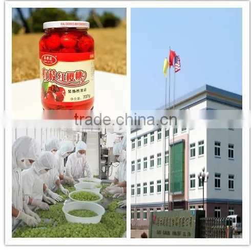 Dried Cherry With Heavy Sugar More Than 65% photo-3