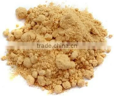 Ginger Ground photo-5