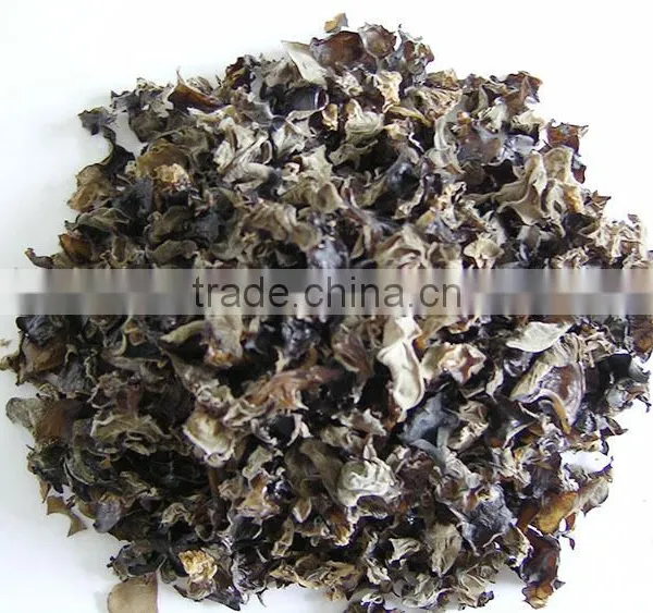 Dehydrated Black Edible Fungus White Back Fungus photo-2