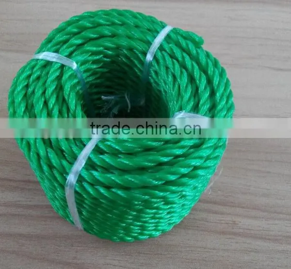 Virgin Synthetic pe Nylon Twisted Rope photo-6