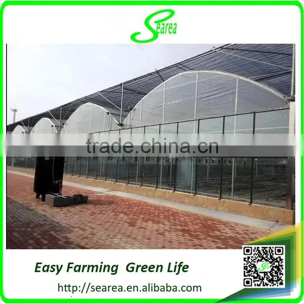 Serea Hot Sale Agriculture Glass Covering Greenhouse Shade /green-house photo-2