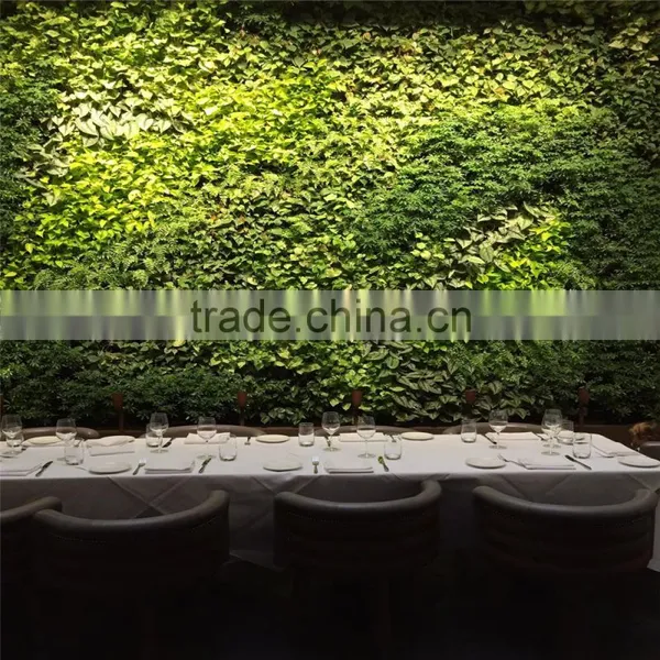 2017 Hot Sale Manufacturer Plastic Green Wall Panels for Outdoor or Indoor photo-5