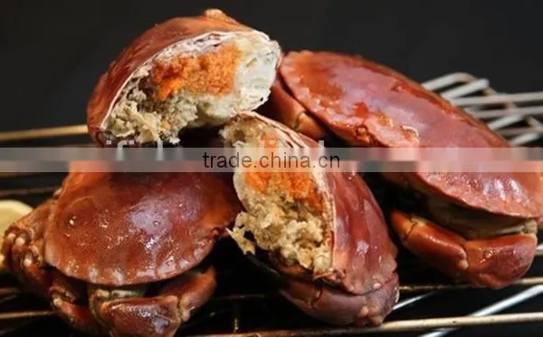 Brown Crab photo-5