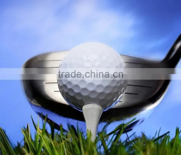 Rubber Wood Plastic Golf Tees Wholesale photo-3