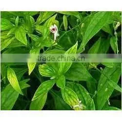 Kalmegh Dry Extract photo-2