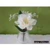 Vase Flowers