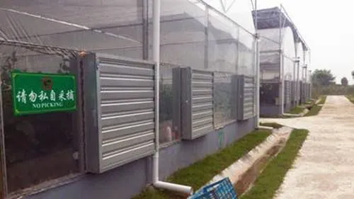 Greenhouse Equipment 50\'\' Inch Industrial Ventilatilation Fan Exhaust Fan