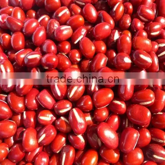 Organic Adzukin Beans photo-2