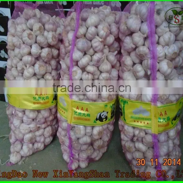 Cang Shan 4-6 Clove Garlic/Fresh Garlic photo-3
