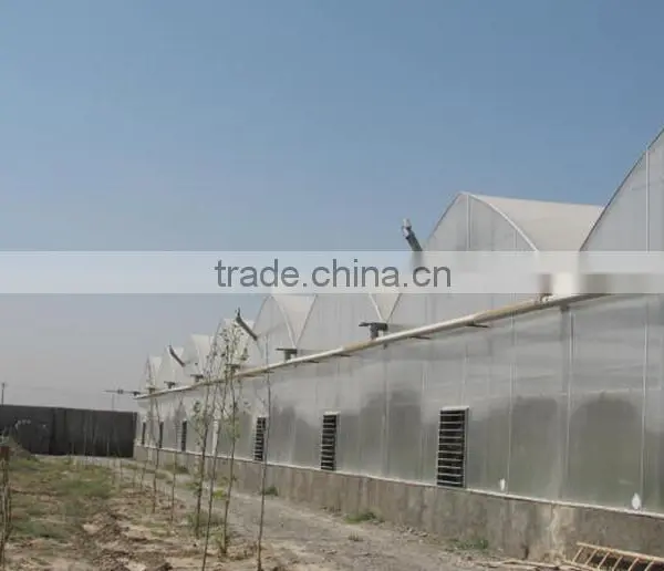 Agriculture Muti-span Greenhouse photo-2
