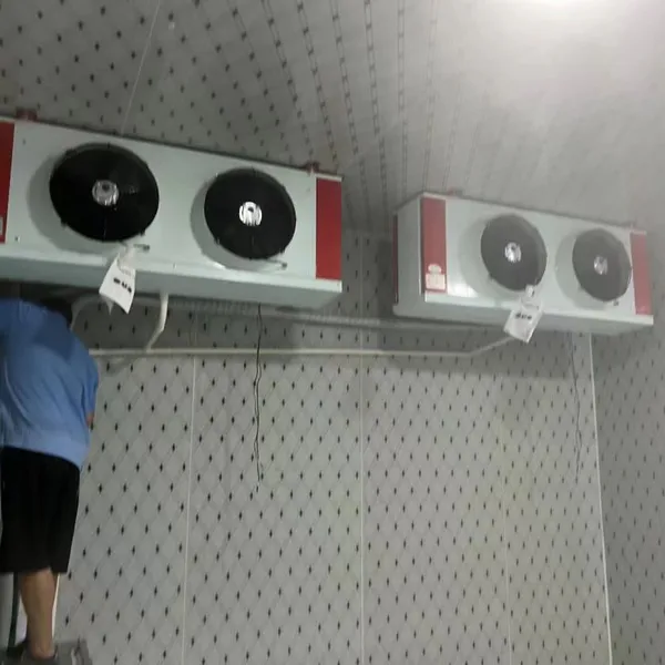 Freezing House,Cold Storage,Cold House,Cold Room