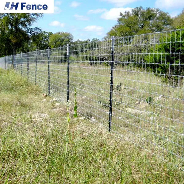 Hot DIP Galvanized Farm Fence Garden/Deer/Field/Animal/Horse/Fence Wire Mesh Waterproof Heavy Duty Rural Fencing photo-4