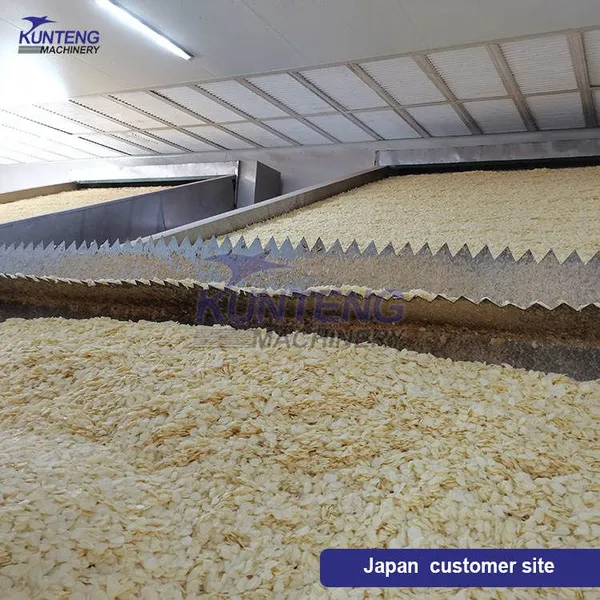 Gas Food Dehydrator Machine Tunnel Dryer Onion Drying Machine Dehydrated Onion Machine Production Line EPC photo-4