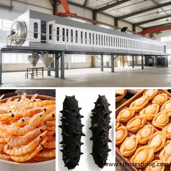 Hot Sale PLC Microwave Vacuum Dryer Machine Industrial Low Temperature Vacuum Drying Equipment photo-4