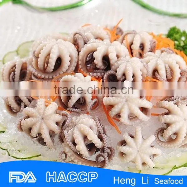Frozen Baby Octopus photo-6