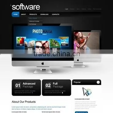 Professional Website Design photo-6