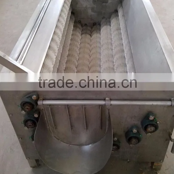 Brush Type Potato Washer photo-6