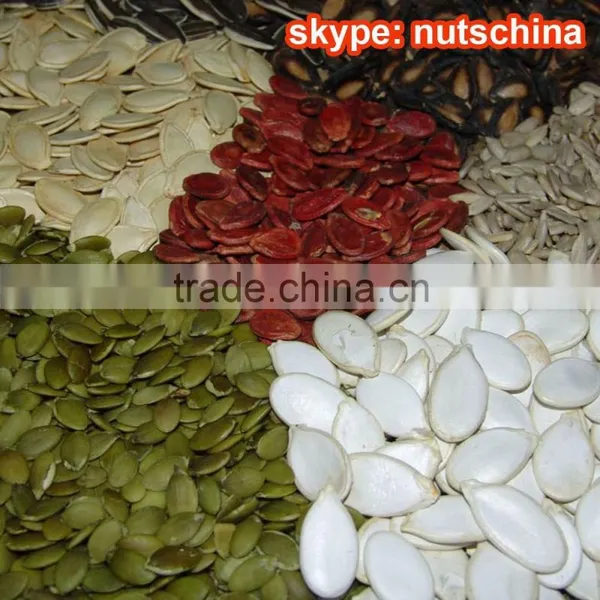 Sunflower Seeds 260 PCS 270 PCS 280 PCS 290 PCS 300 PCS 310PCS photo-6