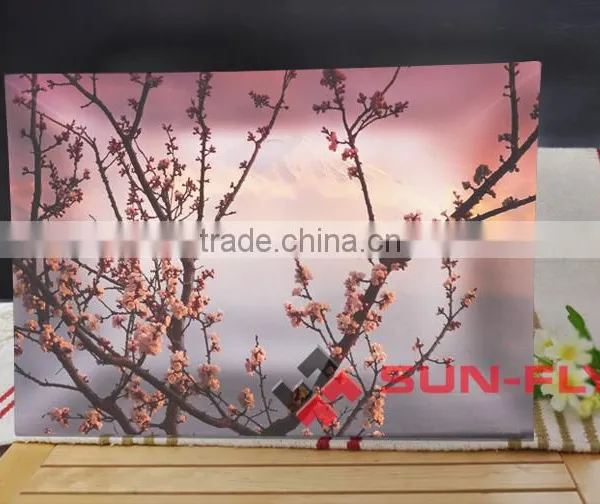 7"x 12" Glass Plate/ Glass Plate for Printing/ Blank Glass Plate/ Plate for Ads