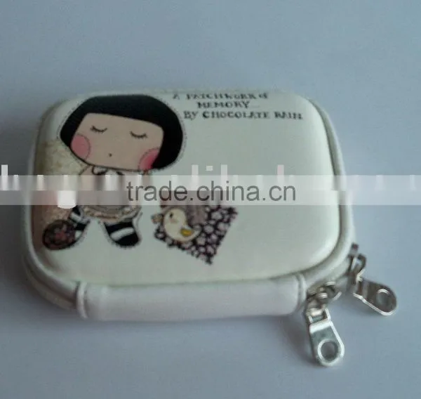 EVA Case