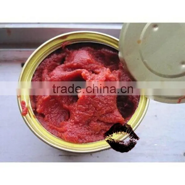 Price Canned Tomato Paste Tomato Packaging Ketchup photo-4