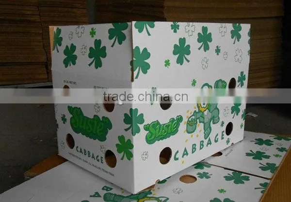 Manufacture Box for Fresh Cabbage photo-3