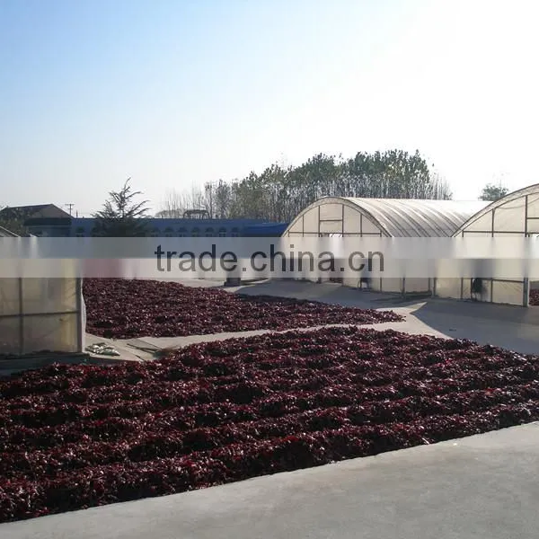 HACCP Certified Sweet Whole Paprika photo-5