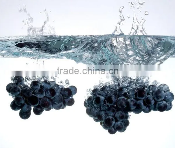 Wholesale Grape Seed Oil photo-3
