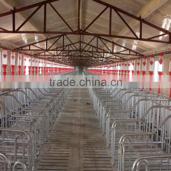 Animal Automatic Feeding System for Pigsty