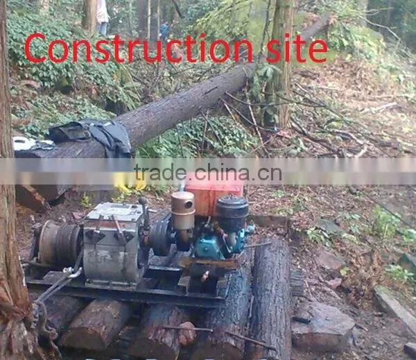 Manufacturer 5 Ton Diesel Engine Powered Hoisting Winch photo-4