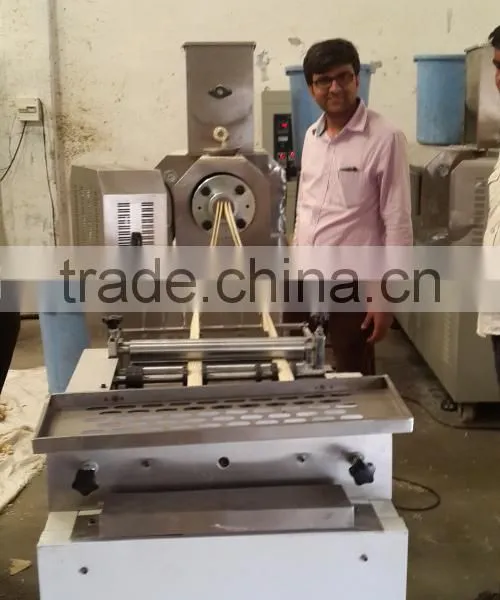 Jinan Eagle Wheat Flour Extrusion Bugles Snack Food Extruder Machine Installed in India photo-2