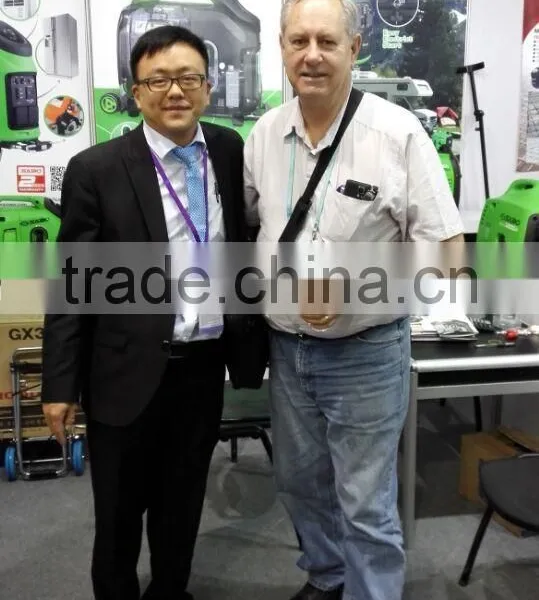 1200i Digital Inverter Gasoline Generator photo-6