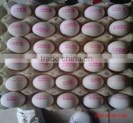 Hot Stamping Date Coding Machine/Egg Code Printing Machine/Bottle Date Code photo-3