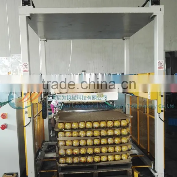 Pasen Palletizing Robot for Chemistry and Food Stacking / Automatic Robot Palletizer photo-4