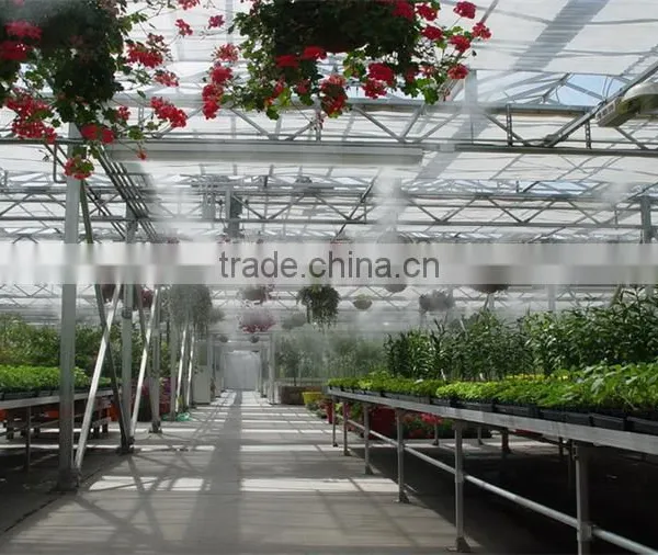 Factory Price Commercial Greenhouse Plastic photo-4