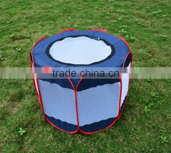 Hot Sale Folding Cat Toy/ Dog Play Toy photo-3