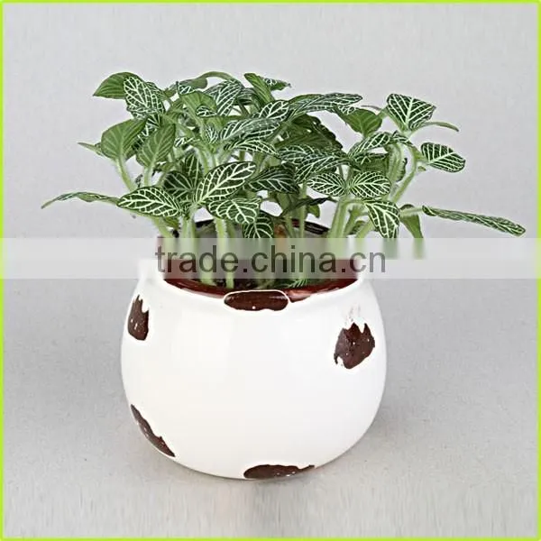 Cute Silicone Flower Pot/planter photo-4