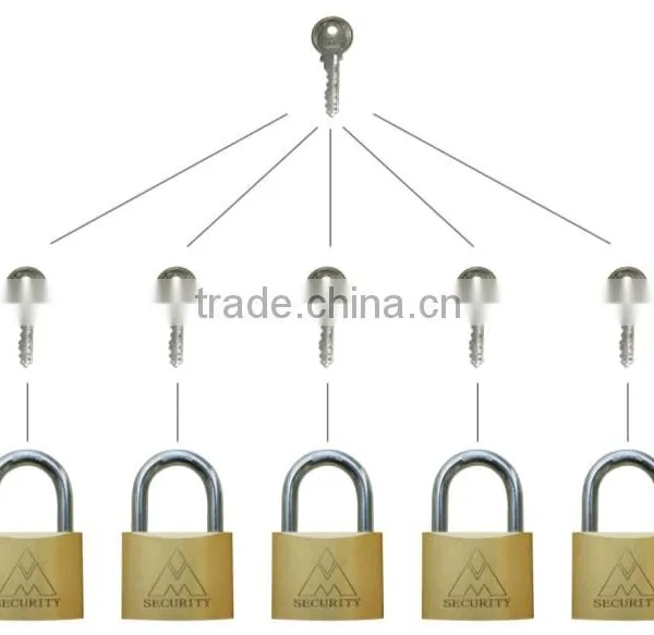 Brass Padlock With Master Key