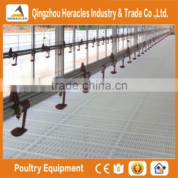 Trade Assurance Equipment Poultry Chicken Farming Materials--flooring Feeding and Drinking Equipment photo-6