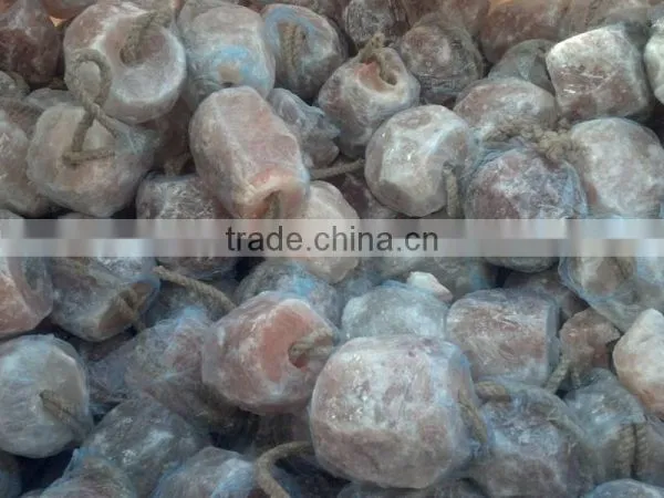 Himalayan Salt Licks