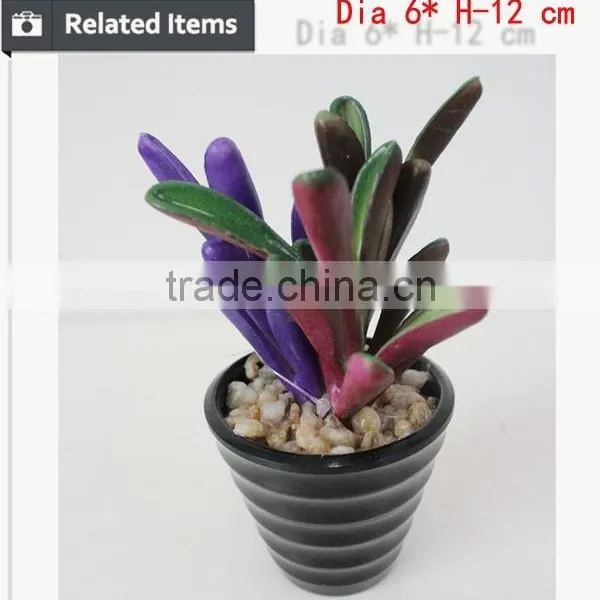 Tropical Mini Succulent Plants Bonsai for Sale Artificial Succulents photo-5