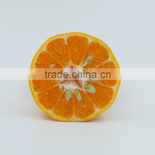 In 2016 Yongchun Fresh Citrus Fragrant and Sweet Bright Red High Sugar photo-5